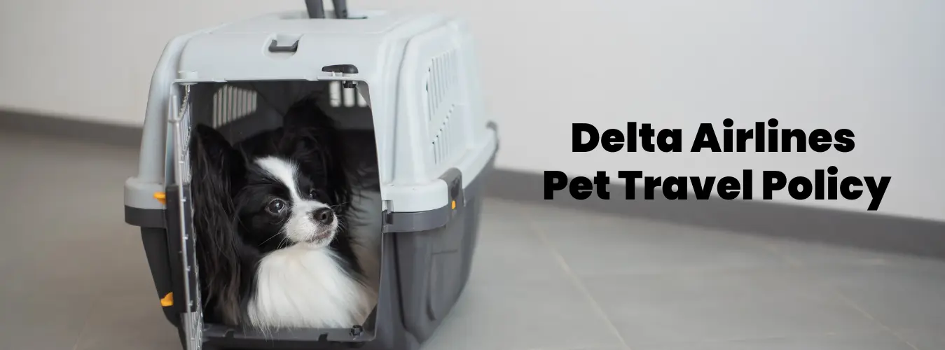 Delta Airlines Pet Travel Policy